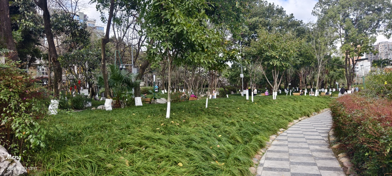 春日的城市绿洲